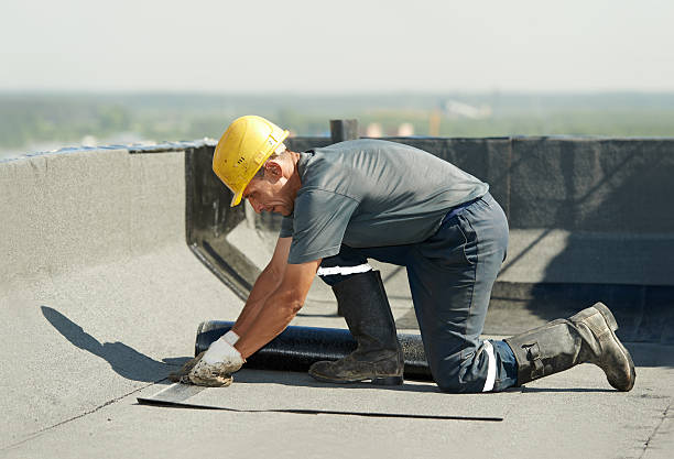 Best DIY Insulation Kits and Guidance in Pleasureville, PA